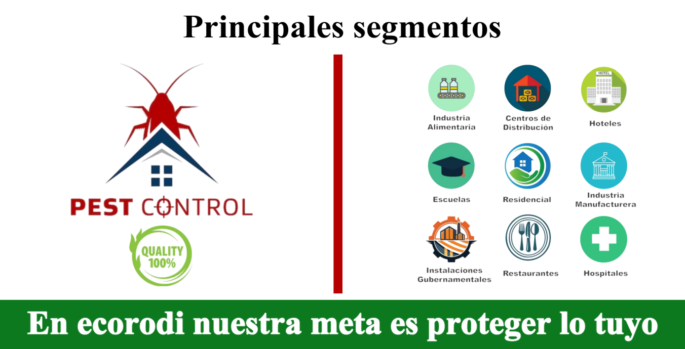 áreas de trabajo